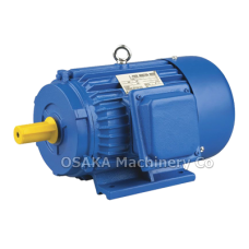 Series Induction Motor